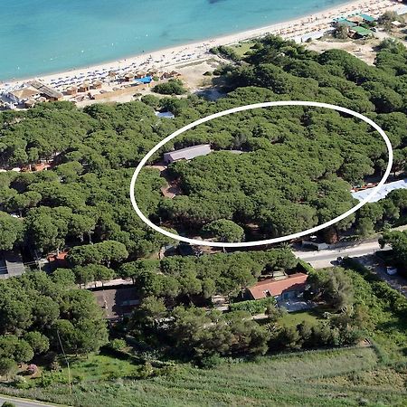 Hotel Villa Nettuno มารินา ดิ กัมโป ภายนอก รูปภาพ