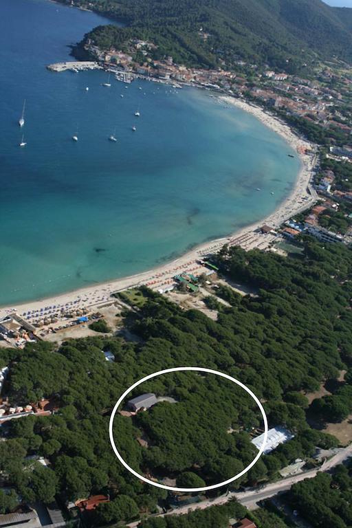 Hotel Villa Nettuno มารินา ดิ กัมโป ภายนอก รูปภาพ