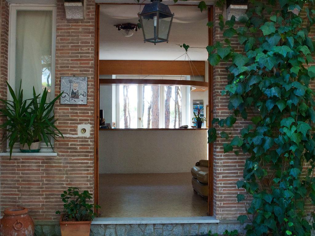 Hotel Villa Nettuno มารินา ดิ กัมโป ภายนอก รูปภาพ